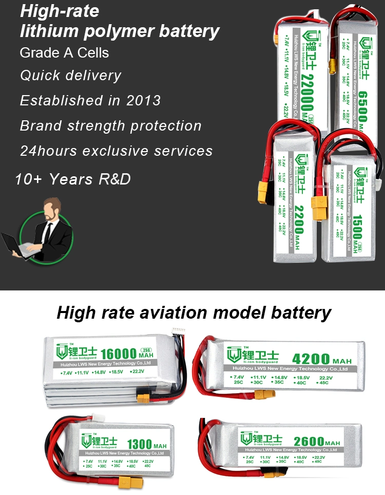Chargeable Medium Lws Lithium Ion Lead Carbon 7.4V Battery Pack Manufacture Lws-Uav-01