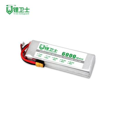Series and Parallel Medium Lws LiFePO4 Battery Pack 12V Lws