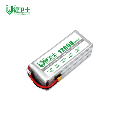 Chargeable Medium Lws Lithium Ion Lead Carbon 7.4V Battery Pack Manufacture Lws
